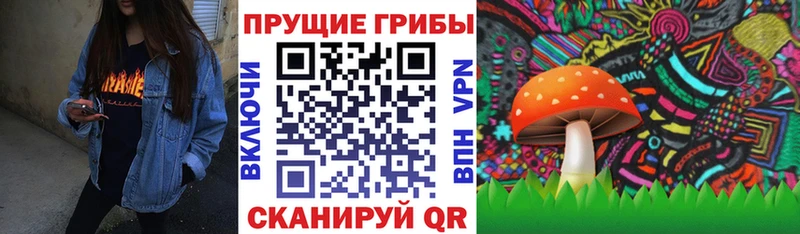 Галлюциногенные грибы Cubensis  Ижевск 